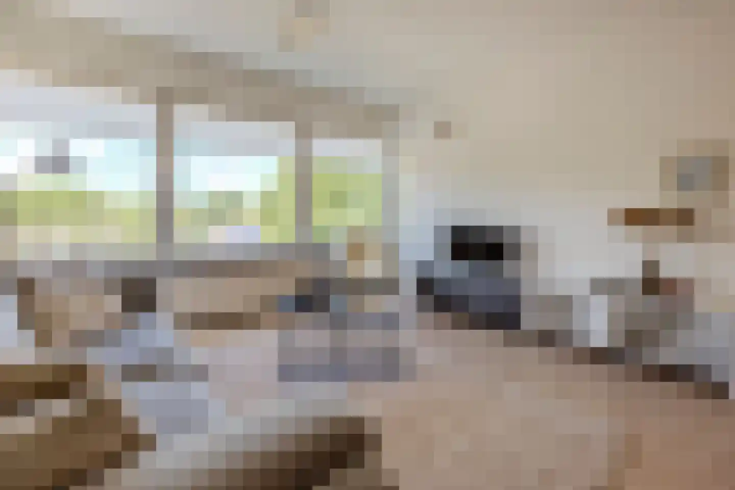 Graan voor Visch 16231 Hoofddorp thumbnail 10