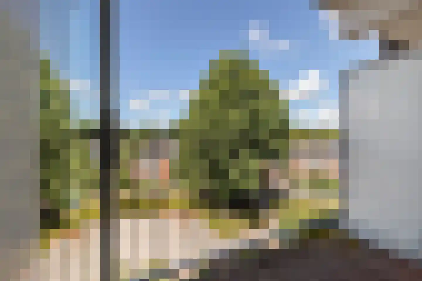 Graan voor Visch 16231 Hoofddorp thumbnail 20