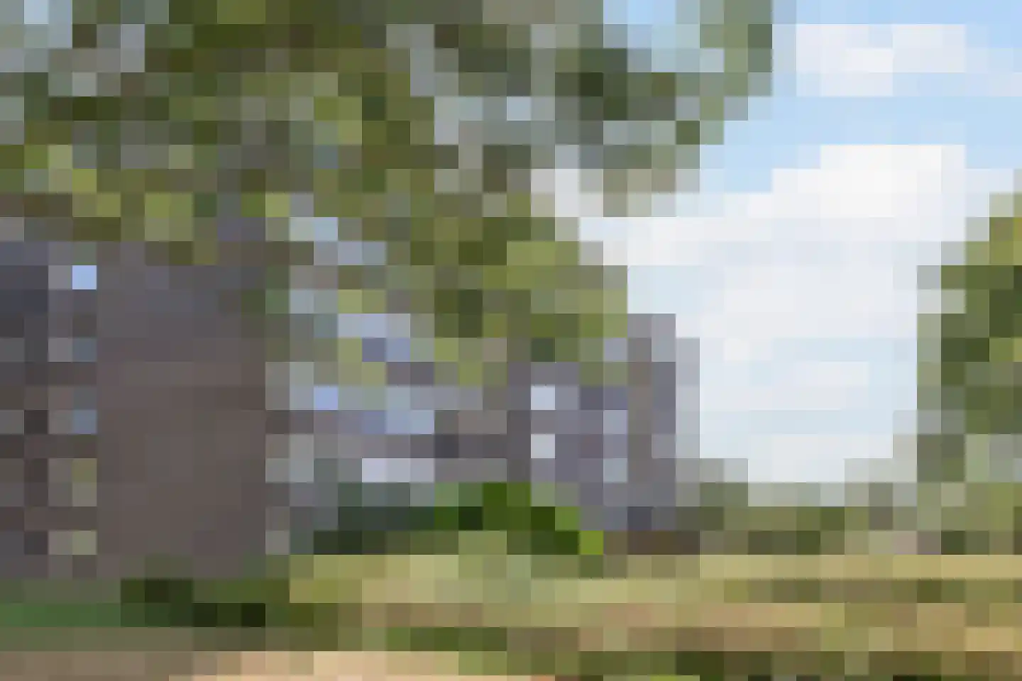 Graan voor Visch 16231 Hoofddorp thumbnail 35