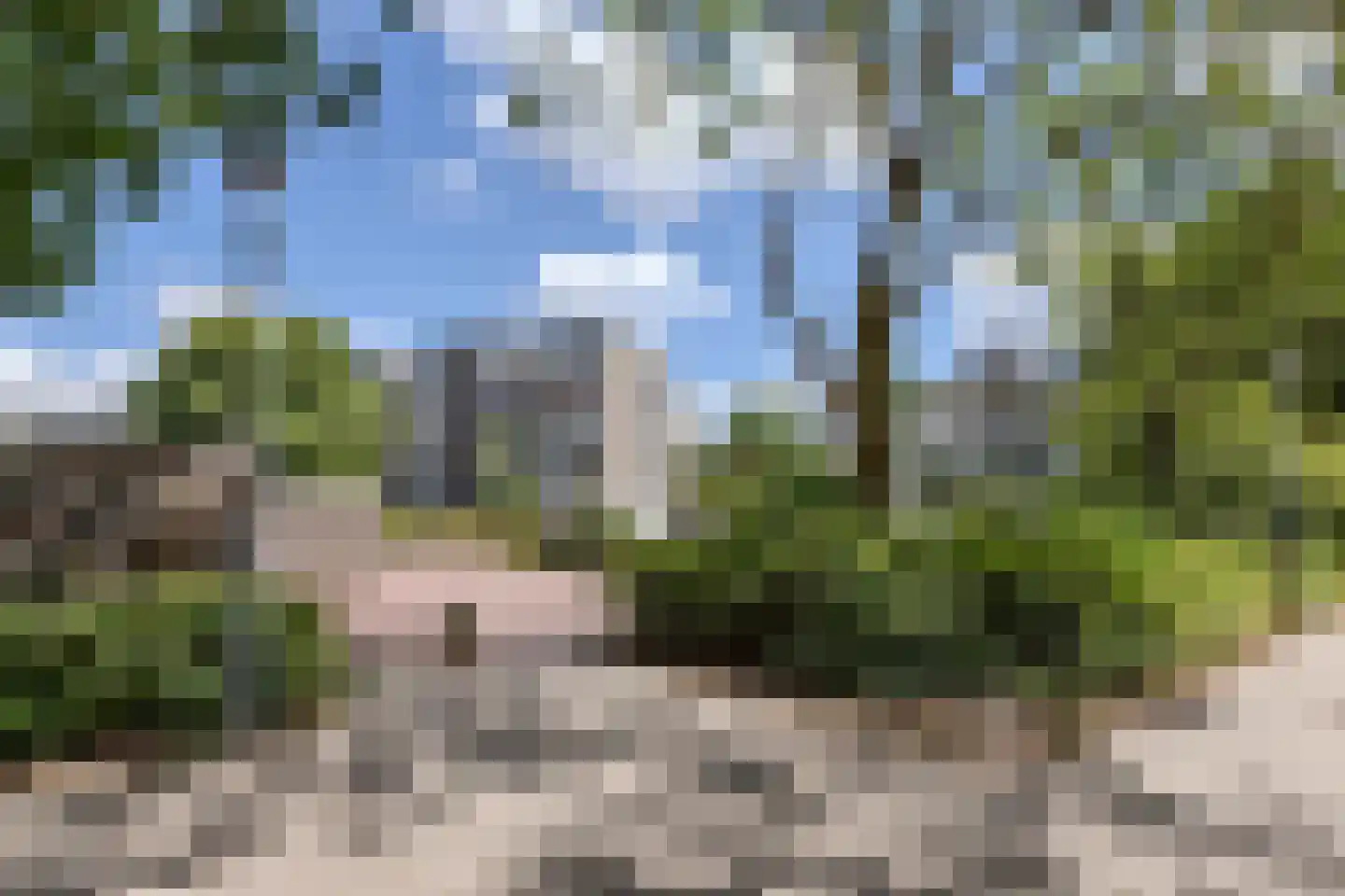 Graan voor Visch 16231 Hoofddorp thumbnail 36