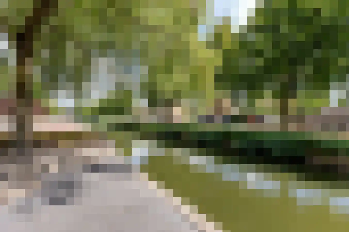Graan voor Visch 16231 Hoofddorp thumbnail 39
