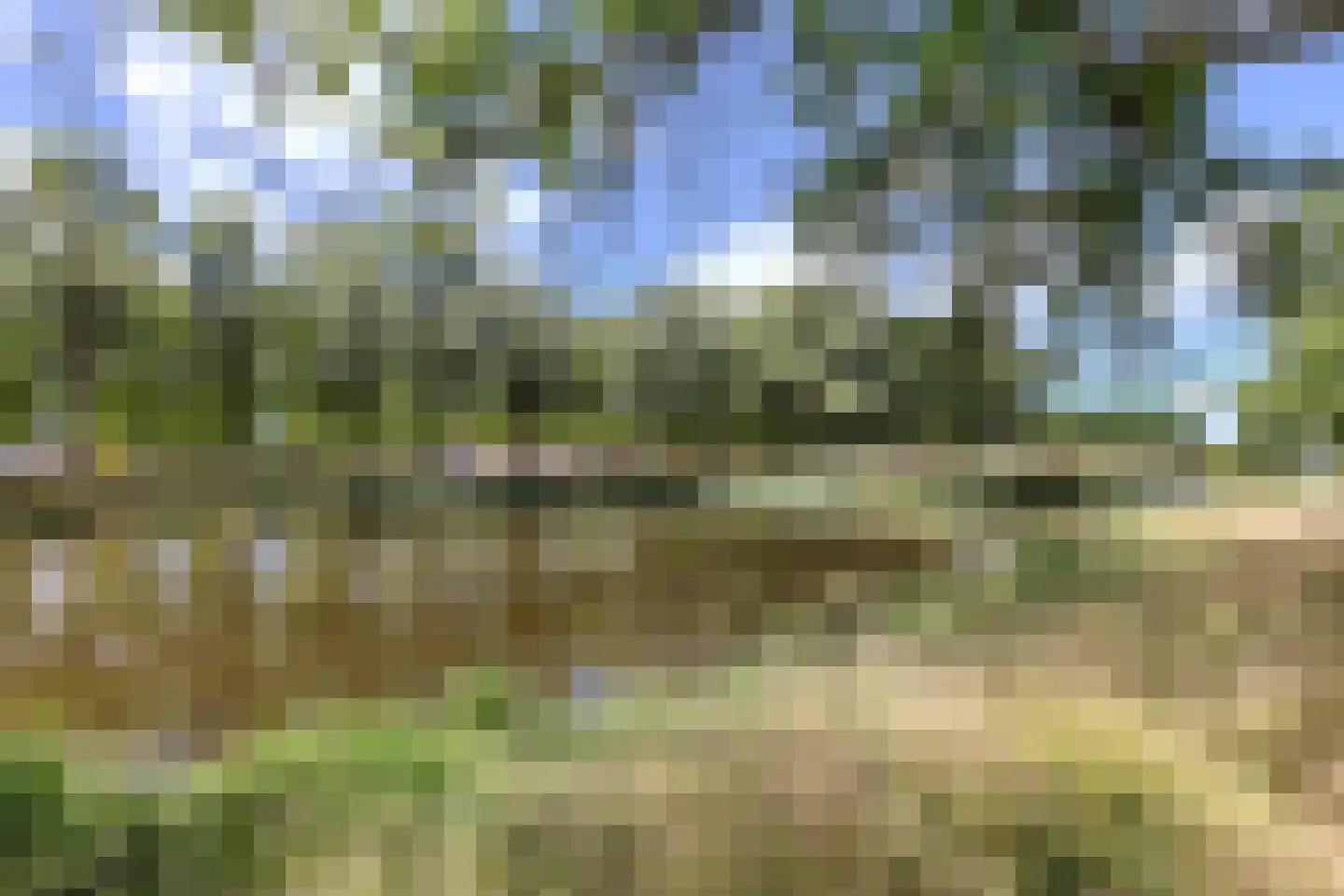 Graan voor Visch 16231 Hoofddorp thumbnail 43