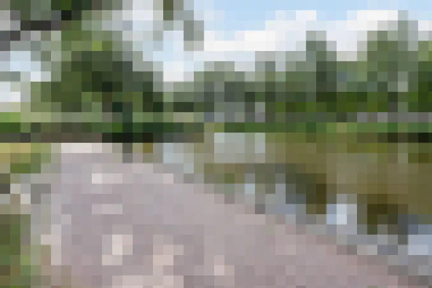 Graan voor Visch 16231 Hoofddorp thumbnail 44
