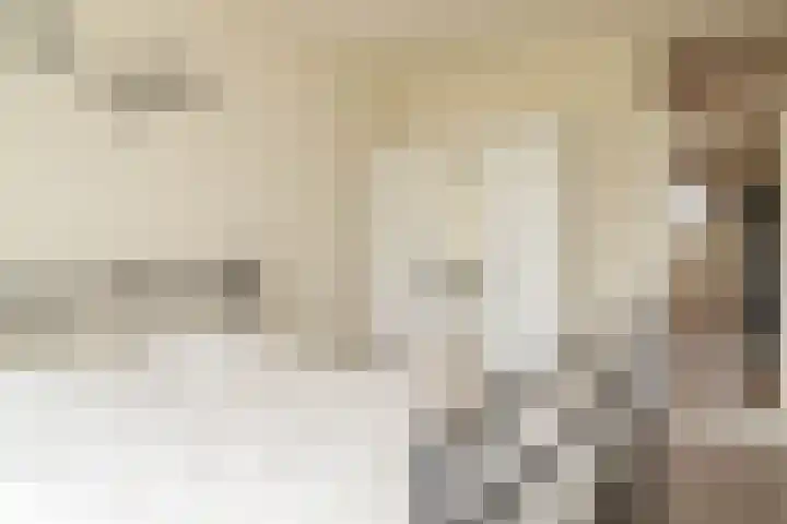 Graan voor Visch 16235 Hoofddorp thumbnail 19