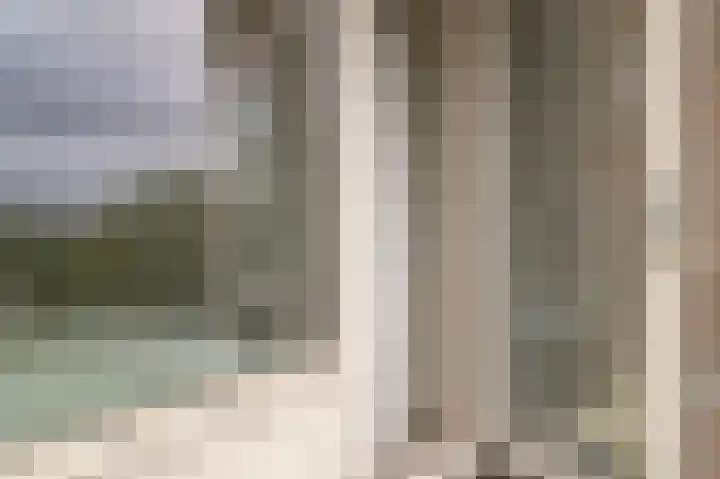 Graan voor Visch 16235 Hoofddorp thumbnail 21