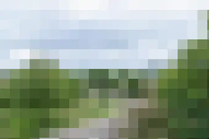 Graan voor Visch 16235 Hoofddorp thumbnail 22
