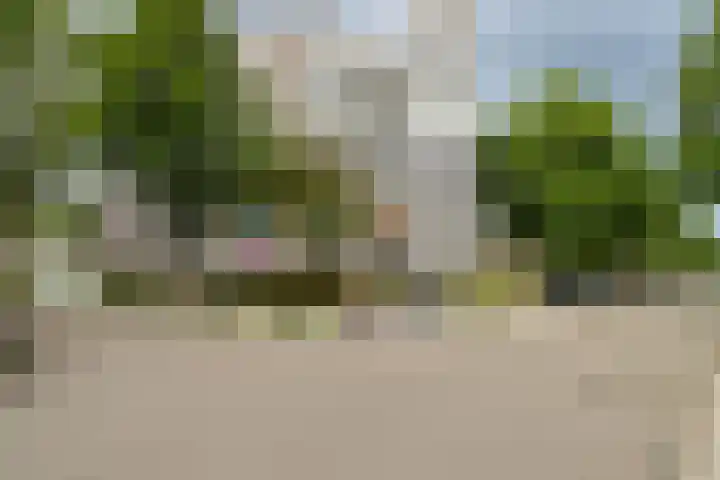 Graan voor Visch 16235 Hoofddorp thumbnail 4