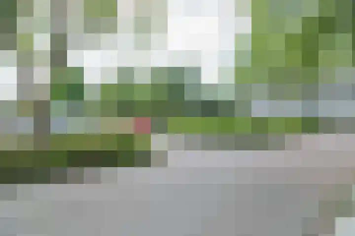 Graan voor Visch 16235 Hoofddorp thumbnail 5