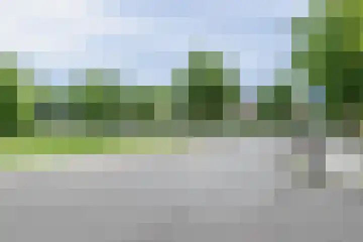 Graan voor Visch 16235 Hoofddorp thumbnail 6