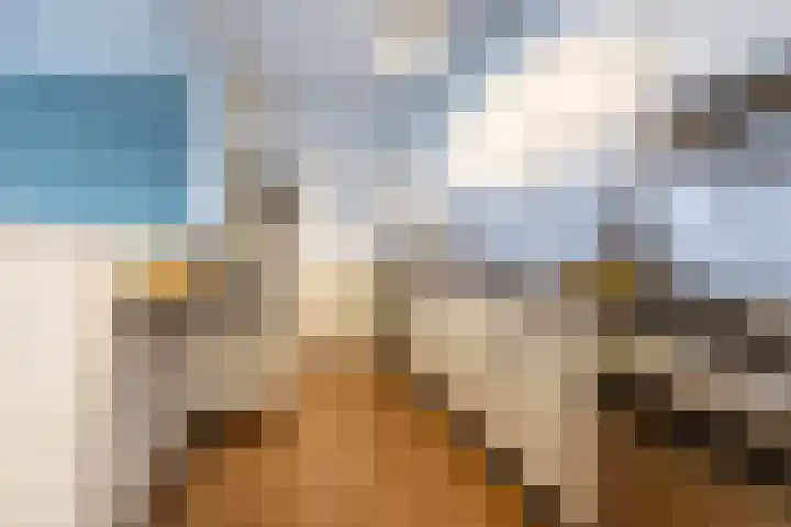 Graan voor Visch 16252 Hoofddorp thumbnail 10