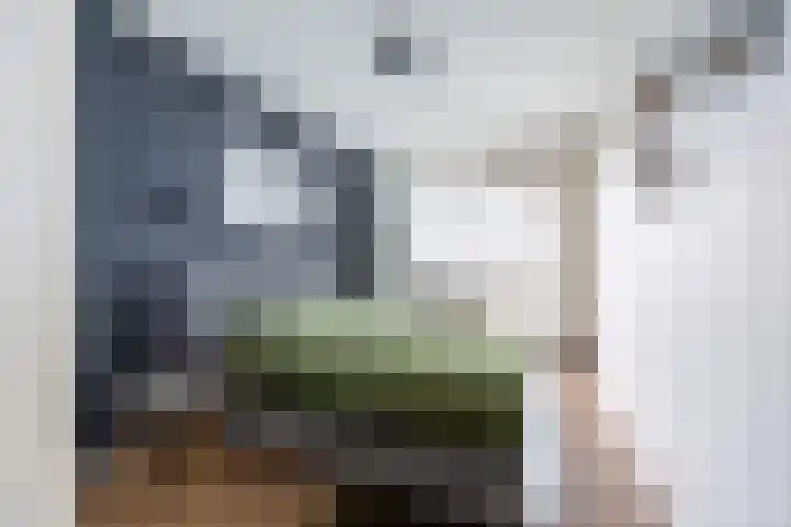 Graan voor Visch 16252 Hoofddorp thumbnail 20
