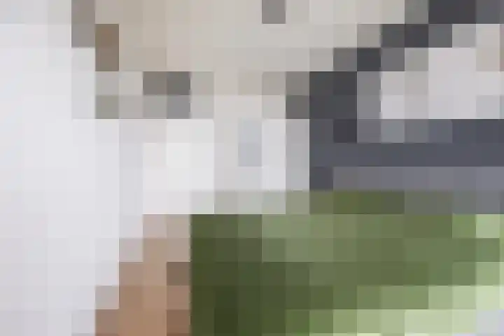 Graan voor Visch 16252 Hoofddorp thumbnail 21