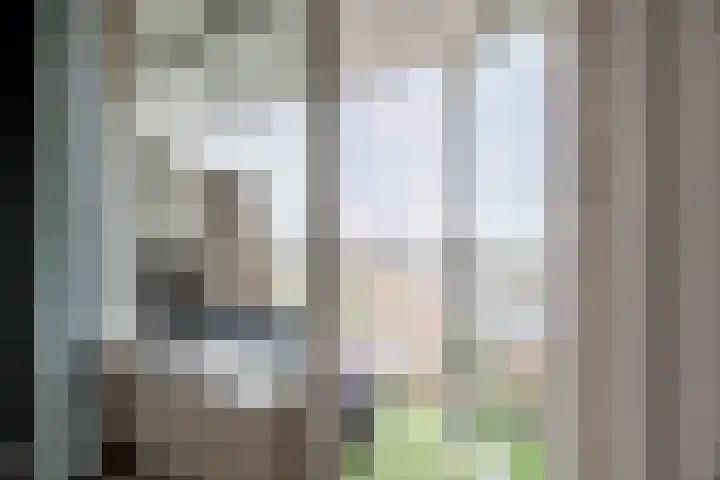 Graan voor Visch 16252 Hoofddorp thumbnail 22