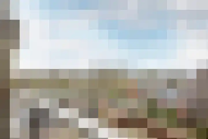 Graan voor Visch 16252 Hoofddorp thumbnail 24