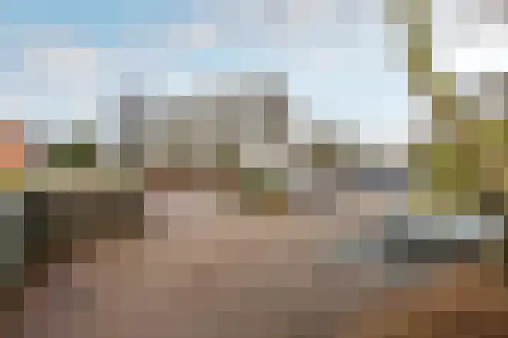 Graan voor Visch 16252 Hoofddorp thumbnail 25