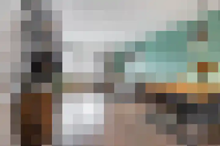 Graan voor Visch 16252 Hoofddorp thumbnail 4