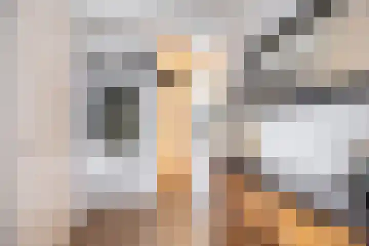 Graan voor Visch 16252 Hoofddorp thumbnail 7