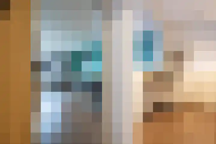 Graan voor Visch 16252 Hoofddorp thumbnail 9