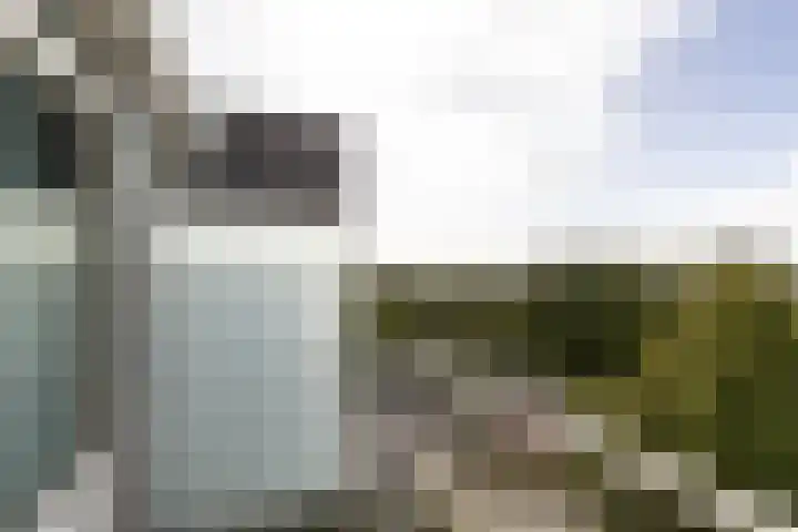 Graan voor Visch 16264 Hoofddorp thumbnail 10