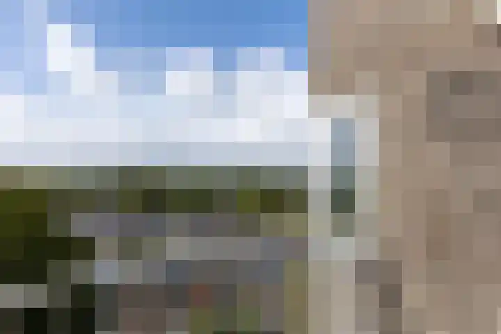 Graan voor Visch 16264 Hoofddorp thumbnail 11