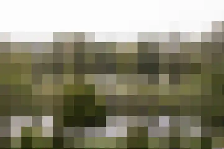 Graan voor Visch 16264 Hoofddorp thumbnail 13