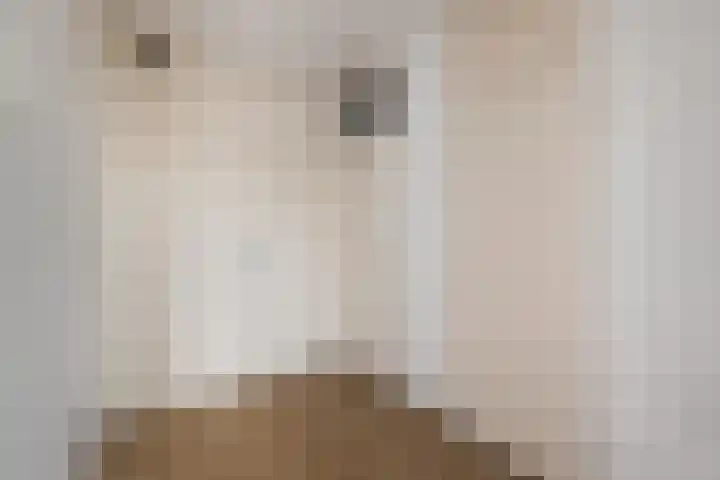 Graan voor Visch 16264 Hoofddorp thumbnail 16