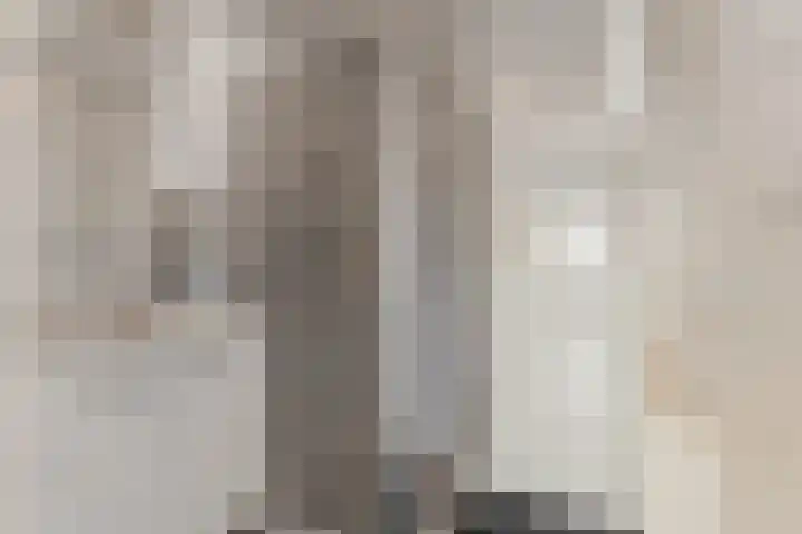 Graan voor Visch 16264 Hoofddorp thumbnail 18