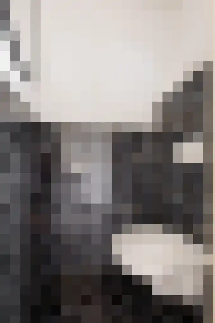Graan voor Visch 16264 Hoofddorp thumbnail 19