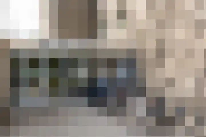 Graan voor Visch 16264 Hoofddorp thumbnail 25
