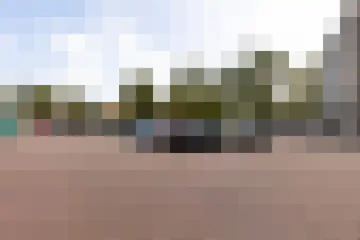 Graan voor Visch 16264 Hoofddorp thumbnail 27