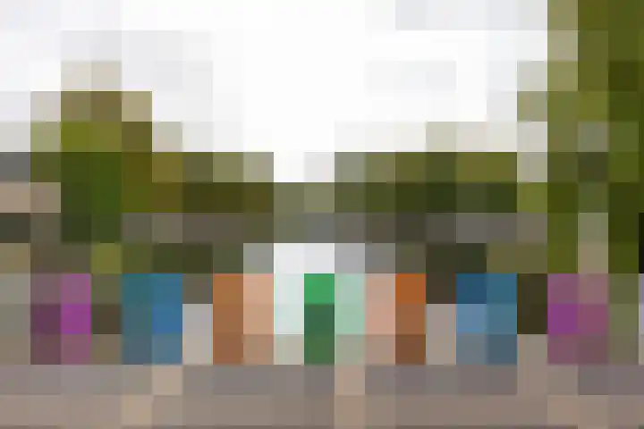 Graan voor Visch 16264 Hoofddorp thumbnail 28