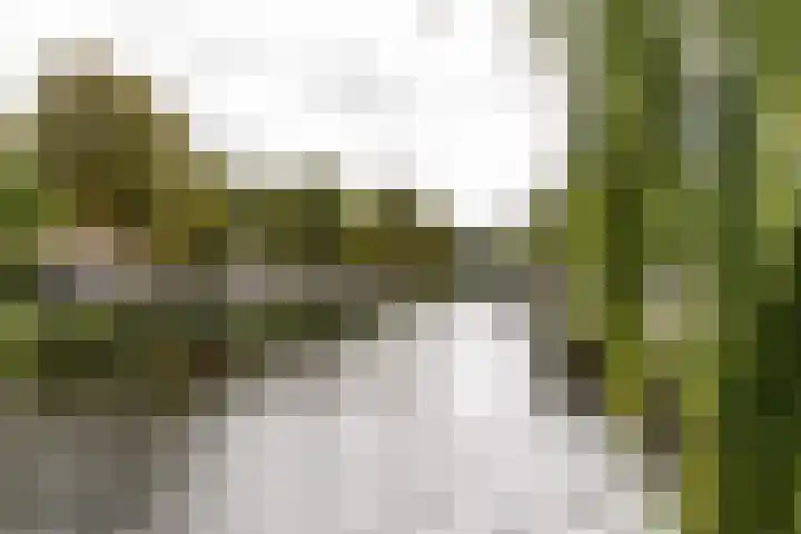 Graan voor Visch 16264 Hoofddorp thumbnail 29