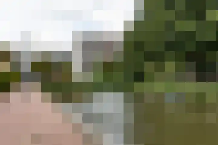 Graan voor Visch 16264 Hoofddorp thumbnail 30