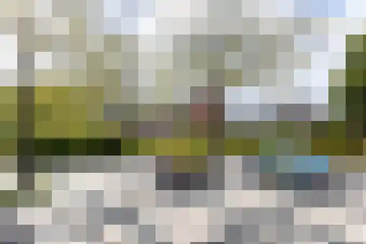 Graan voor Visch 16264 Hoofddorp thumbnail 31