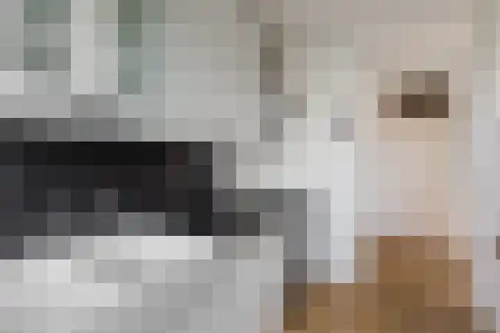 Graan voor Visch 16264 Hoofddorp thumbnail 7