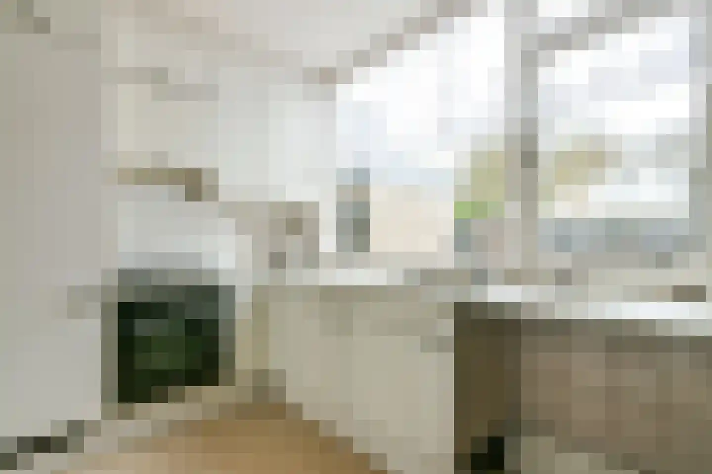 Graan voor Visch 17012 Hoofddorp thumbnail 15