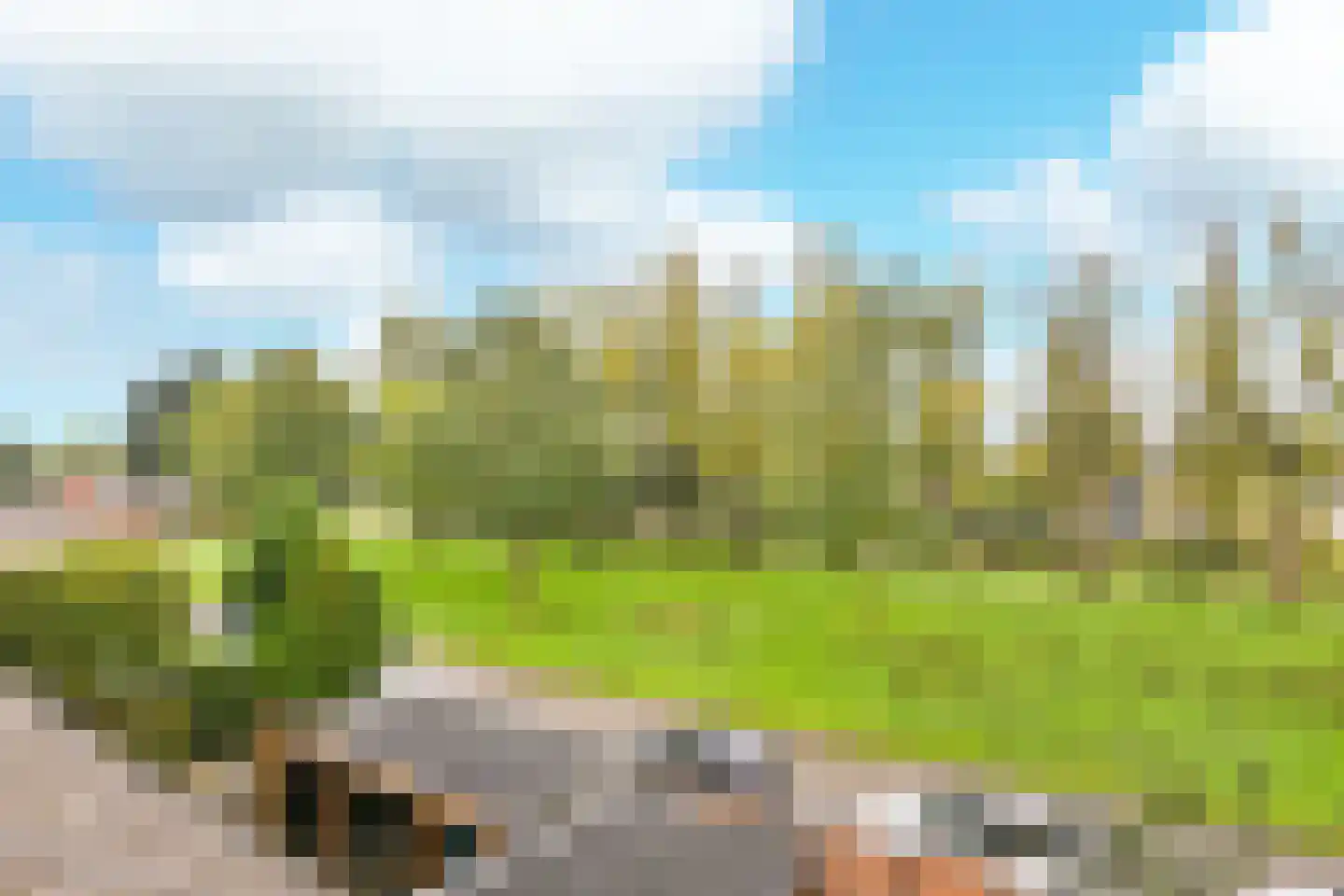 Graan voor Visch 17012 Hoofddorp thumbnail 32