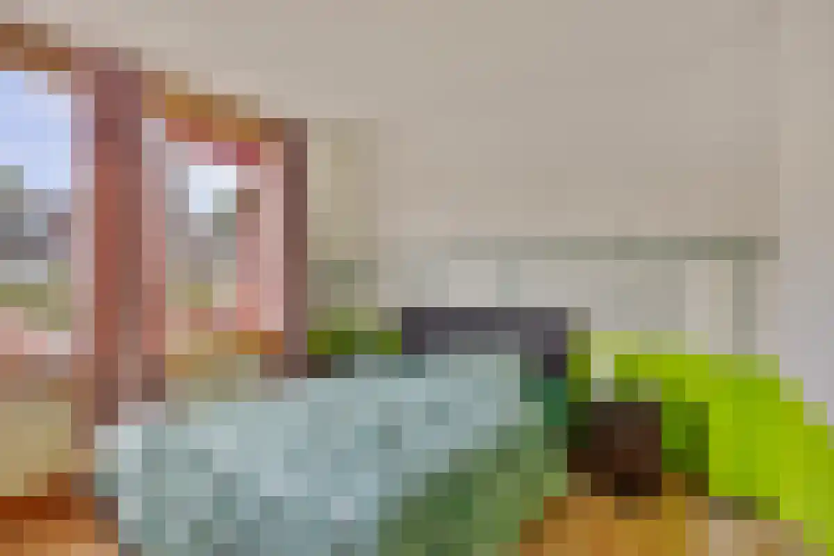 Graan voor Visch 17105 Hoofddorp thumbnail 14