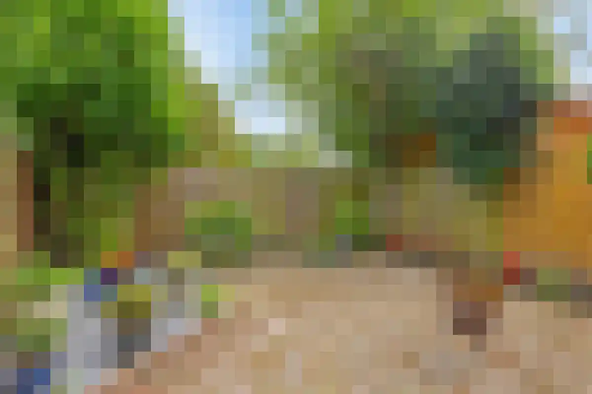 Graan voor Visch 17105 Hoofddorp thumbnail 24