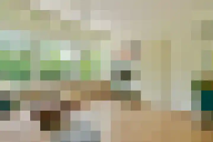 Graan voor Visch 17208 Hoofddorp thumbnail 15