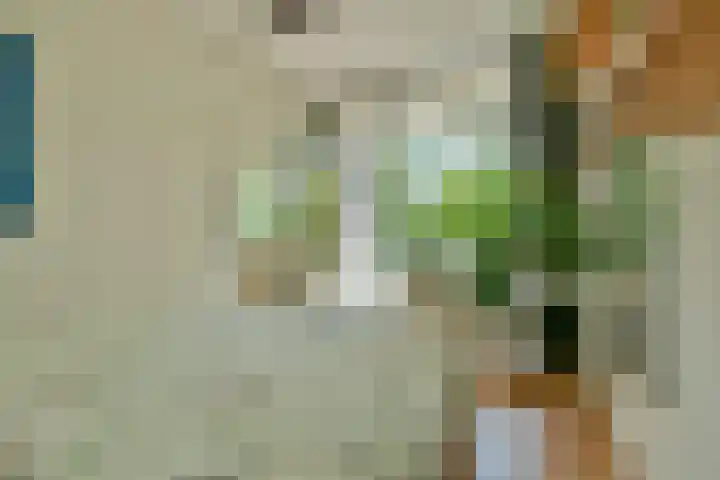 Graan voor Visch 17208 Hoofddorp thumbnail 24