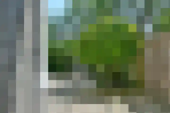 Graan voor Visch 17208 Hoofddorp thumbnail 25