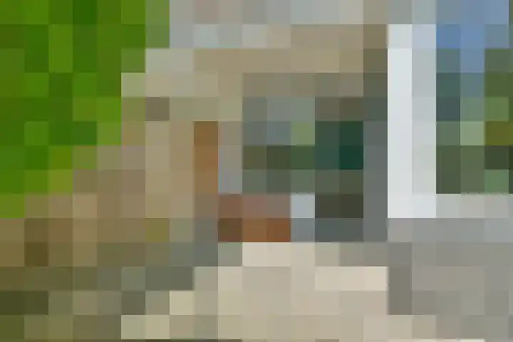 Graan voor Visch 17208 Hoofddorp thumbnail 26