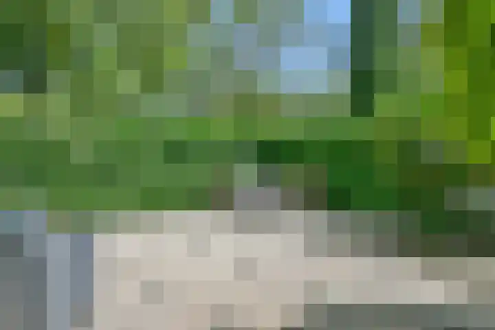 Graan voor Visch 17208 Hoofddorp thumbnail 27