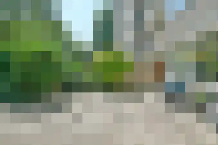 Graan voor Visch 17208 Hoofddorp thumbnail 28