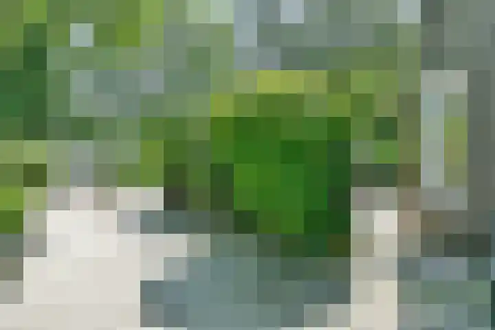 Graan voor Visch 17208 Hoofddorp thumbnail 29
