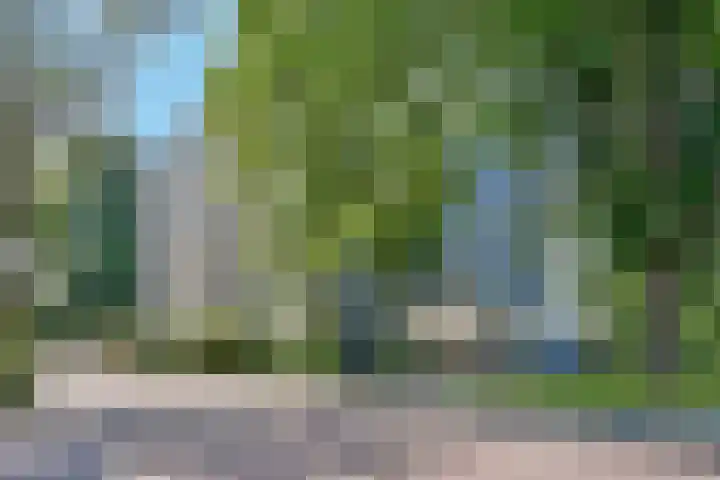 Graan voor Visch 17208 Hoofddorp thumbnail 30