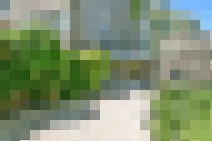 Graan voor Visch 17208 Hoofddorp thumbnail 4