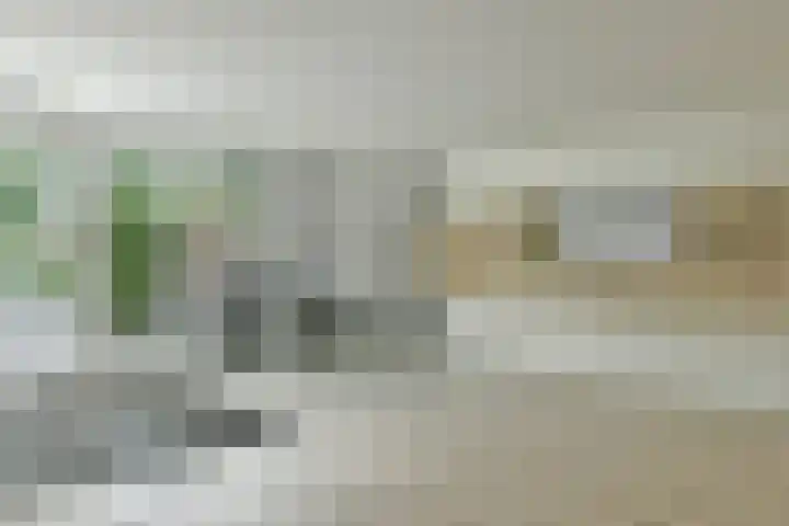 Graan voor Visch 17208 Hoofddorp thumbnail 5