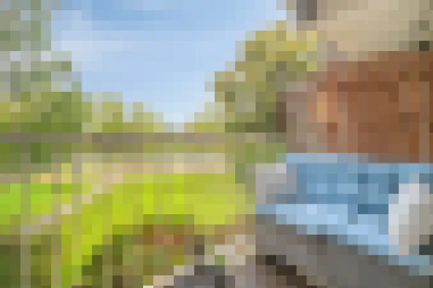 Graan voor Visch 17224 Hoofddorp thumbnail 15